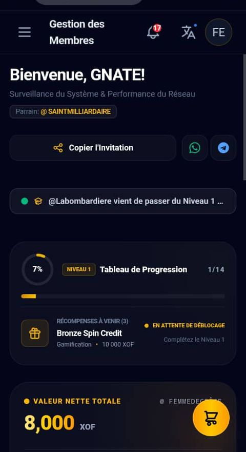 Example member dashboard showing membership progress and upcoming rewards